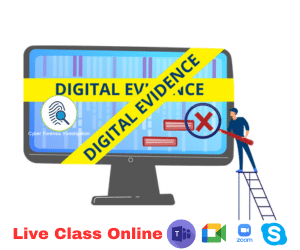 online digital crime investigation course