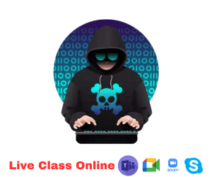 online hacking course